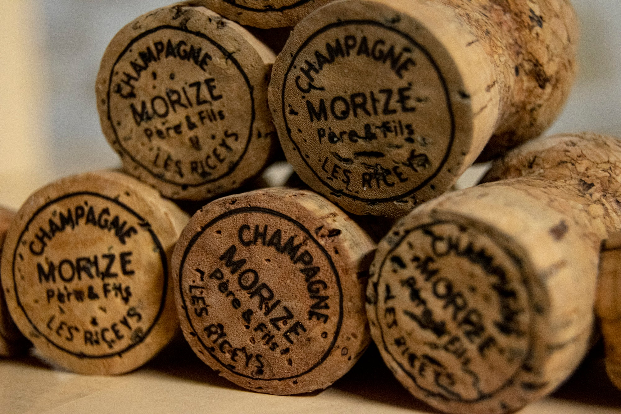 MAISON MORIZE