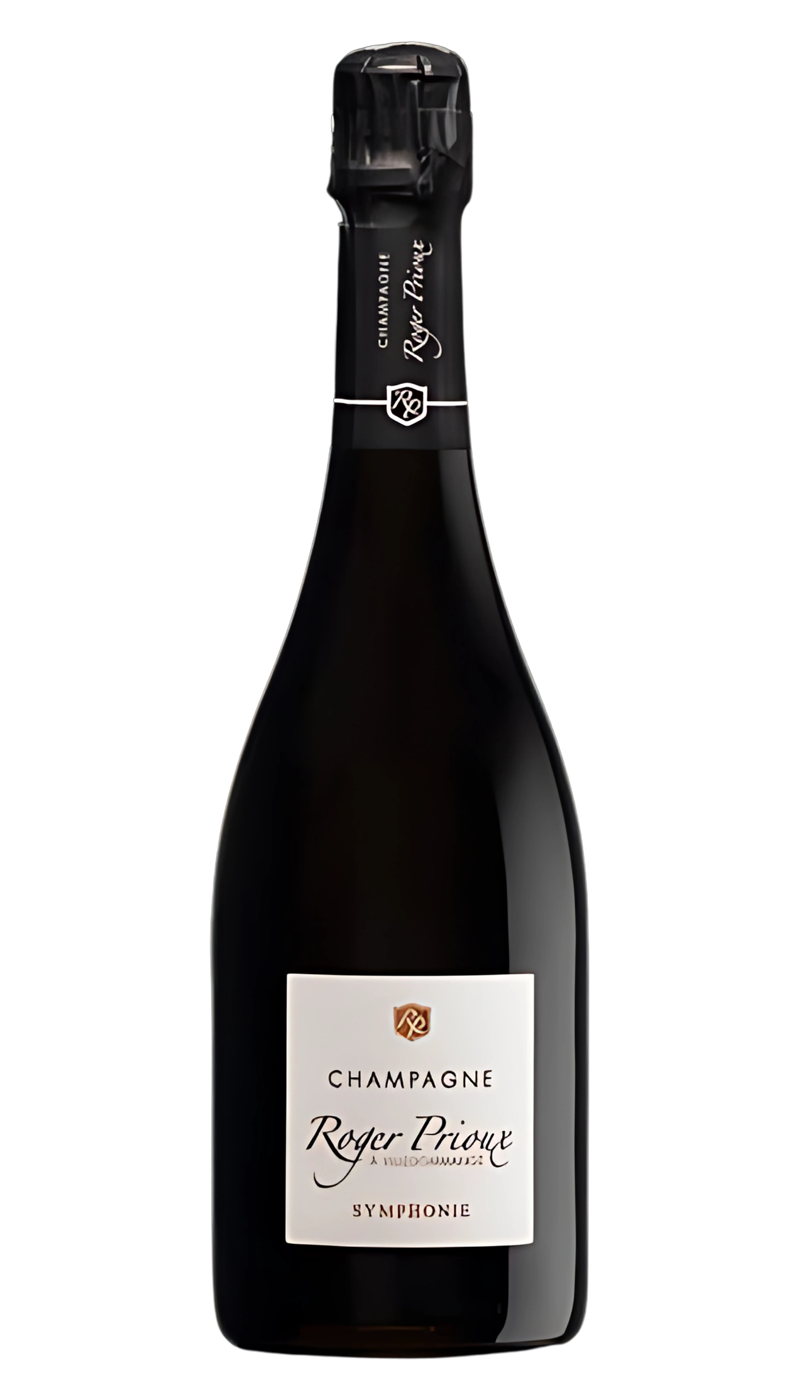 ROGER PRIOUX Symphonie Brut