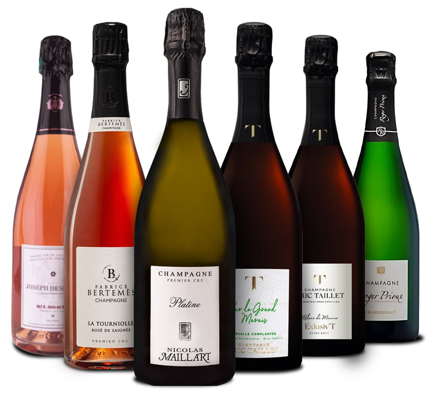 TREASURE BOX Comparative Tasting Experience